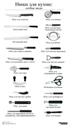 Types of knives in the kitchen photo