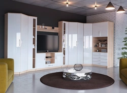 Wardrobe In The Living Room Modern Style Photo