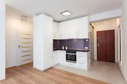 Студия кухня прихожая фото