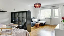 Shelving for the living room as a partition photo
