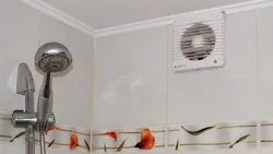 Hamam başlığı dizaynı