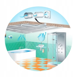 Bathroom hood design