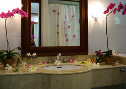 Interior with plants in the bathroom