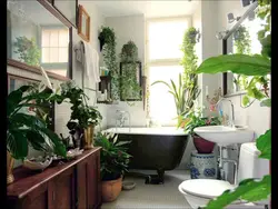 Interior with plants in the bathroom