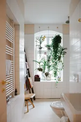 Interior with plants in the bathroom