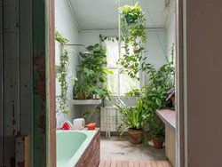 Interior with plants in the bathroom