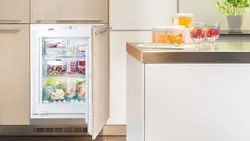 Freezer in the kitchen interior
