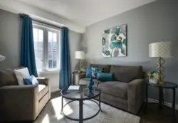 Combination Of Blue Color In The Living Room Interior Photo