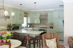 Olive kitchen living room photo
