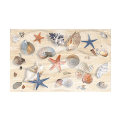Bathroom design with seashells