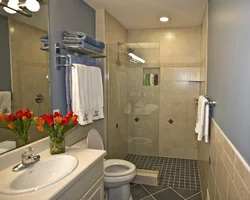 Bathroom design combined shower and bathtub