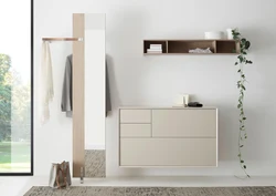 Cabinets in the hallway in a modern style design photo