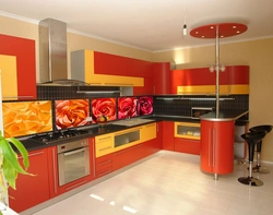 Plastic kitchens photo
