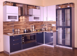Plastic kitchens photo