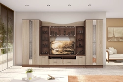 Living room walls photo without space for TV