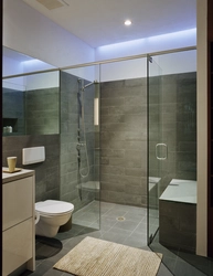 Bathroom With Glass Partition Photo
