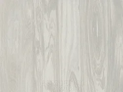 Kitchen countertop olive photo