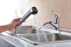 Kitchen With Shower Photo Design