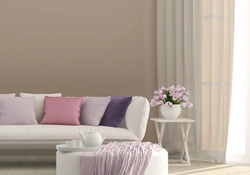 Dusty Rose In The Living Room Interior