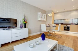 Studio Combined With Kitchen Interior