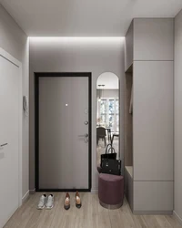 Design Of A One-Room Apartment With A Small Hallway