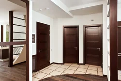 Kitchen interior with dark doors
