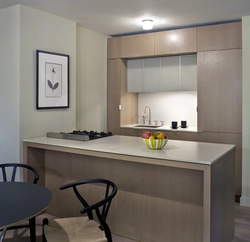 Kitchen design in a niche combined with a living room