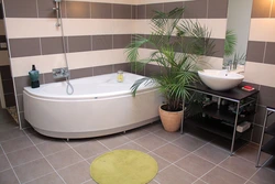 Bathroom with triangular bathtub photo