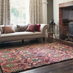 Carpets curtains in the living room interior photo