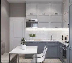 Gray kitchen in small interior