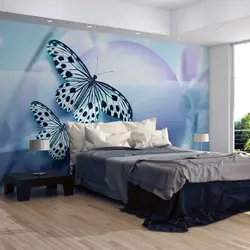 Butterflies in the bedroom photo