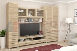 Qonaq otağı daxili ağardılmış palıd