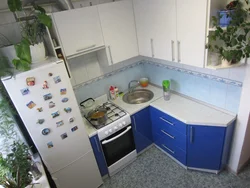 Corner kitchens for a small kitchen photo with a refrigerator and stove