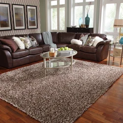 Living room interior with carpet on the floor