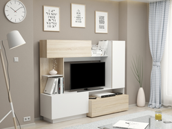 Photo of mini walls in the living room modern