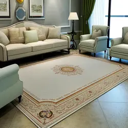 Carpets in the apartment on the floor photo