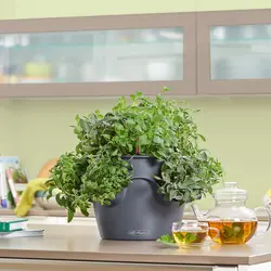 Кухни