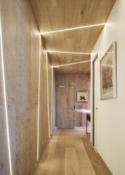 Laminate wall in the hallway interior photo design