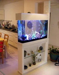 Aquarium in the kitchen photo design