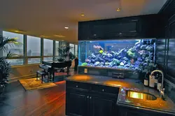 Aquarium in the kitchen photo design