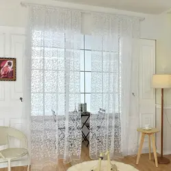 Mesh Curtain In The Living Room Photo