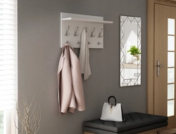 Hooks in the hallway design