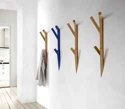 Hooks in the hallway design