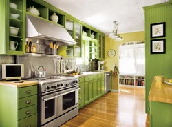 Light green color in the kitchen interior color combination