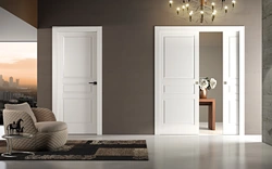 Interior doors in the interior of an apartment 2023