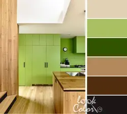 Light green kitchen interior