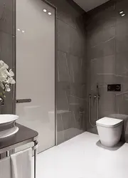 Hamam və tualet boz ağ fotoşəkil
