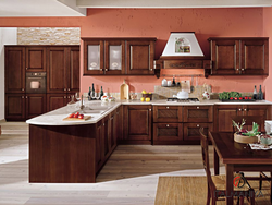Kitchen design mahogany