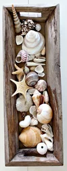 Seashells in the bathroom interior photo