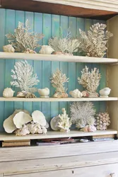 Shells дар дохили ҳаммом акс